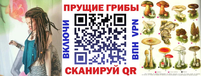 Купить  Красный Сулин  Псилоцибиновые грибы ЛСД 